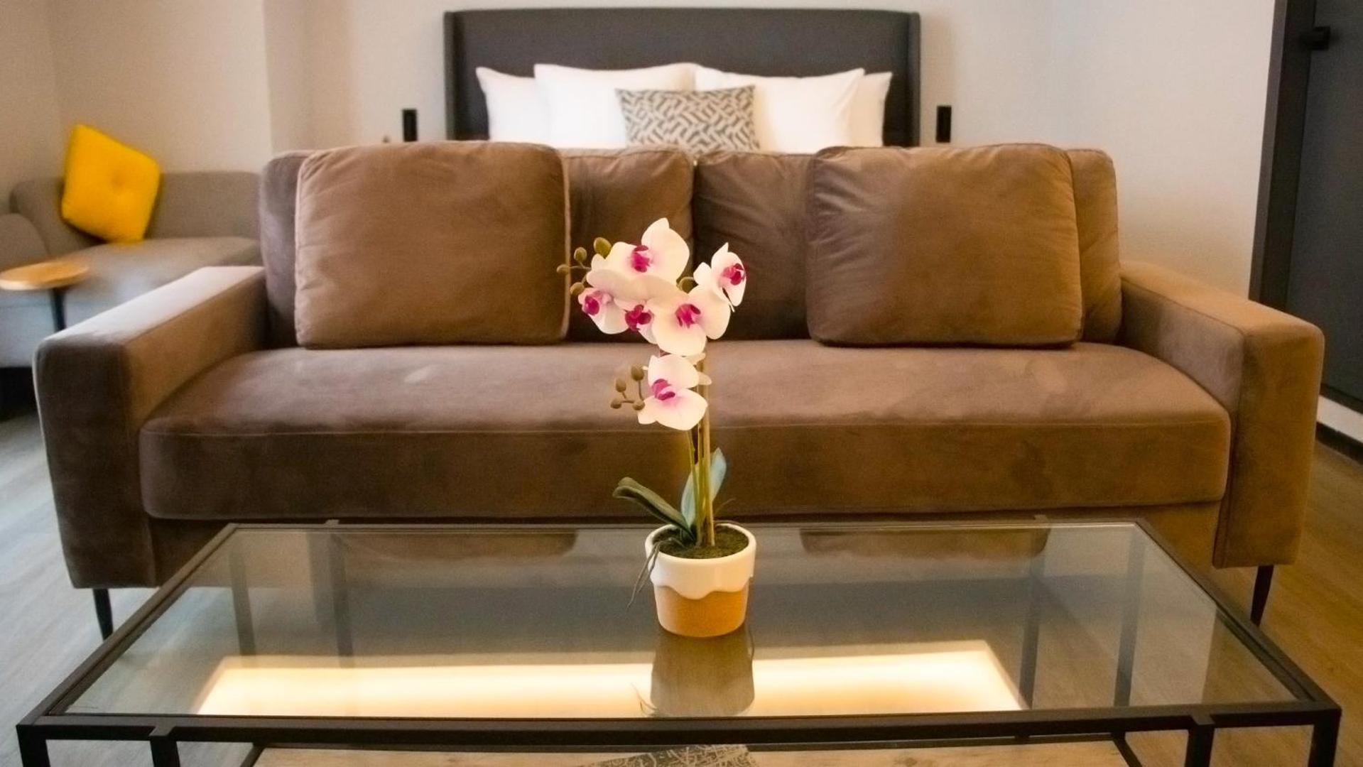 St Isidro Suites Corporate Housing Spa & Wellness Center Meksyk Zewnętrze zdjęcie