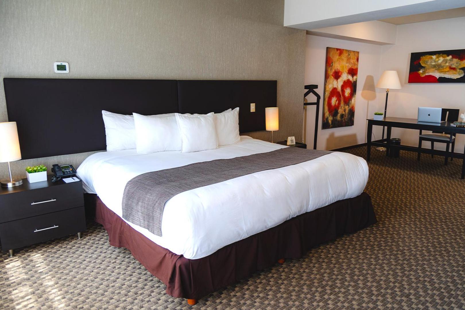 St Isidro Suites Corporate Housing Spa & Wellness Center Meksyk Zewnętrze zdjęcie